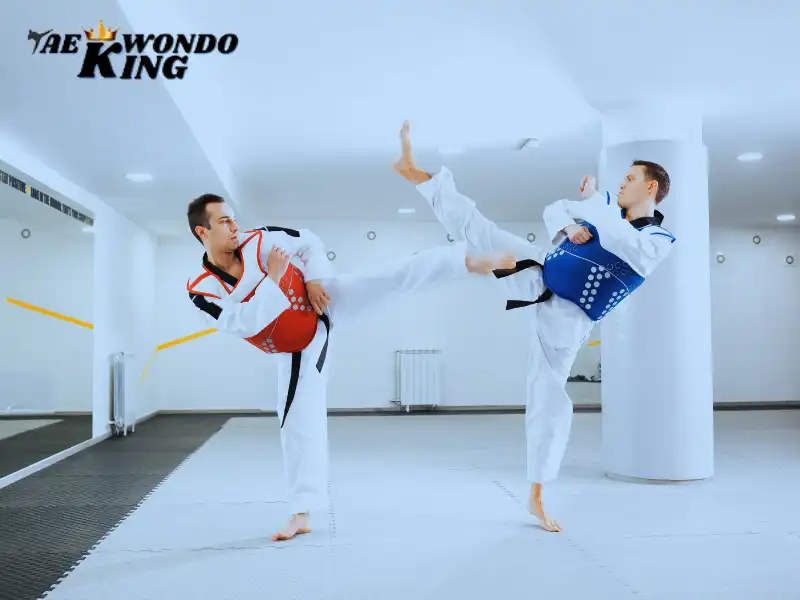 Learn Taekwondo to Counterattack, taekwondoking