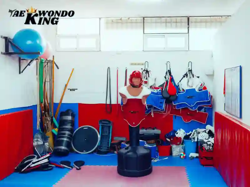 Which 10 Equipment Used in Taekwondo?