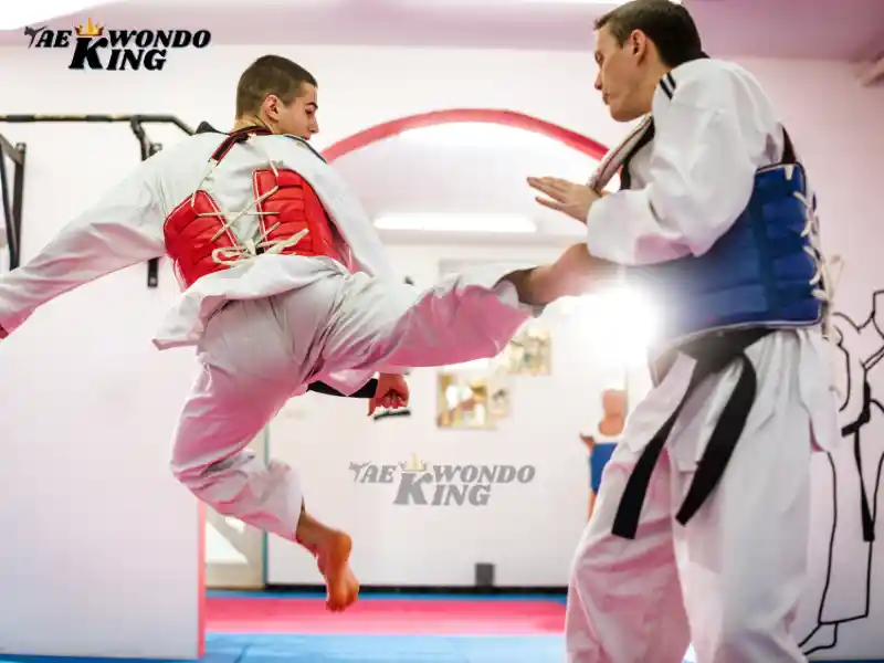 Taekwondo Self-Defense, taekwondoking