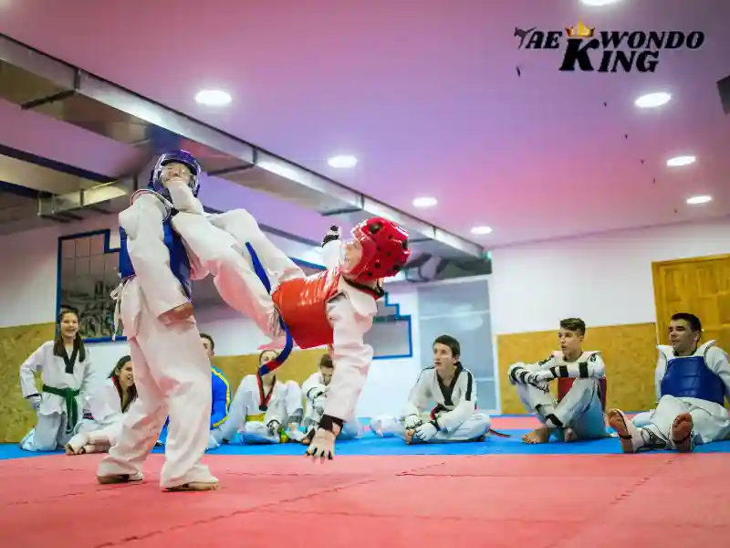 Technique To Learn First Taekwondo Martial Arts, taekwondoking