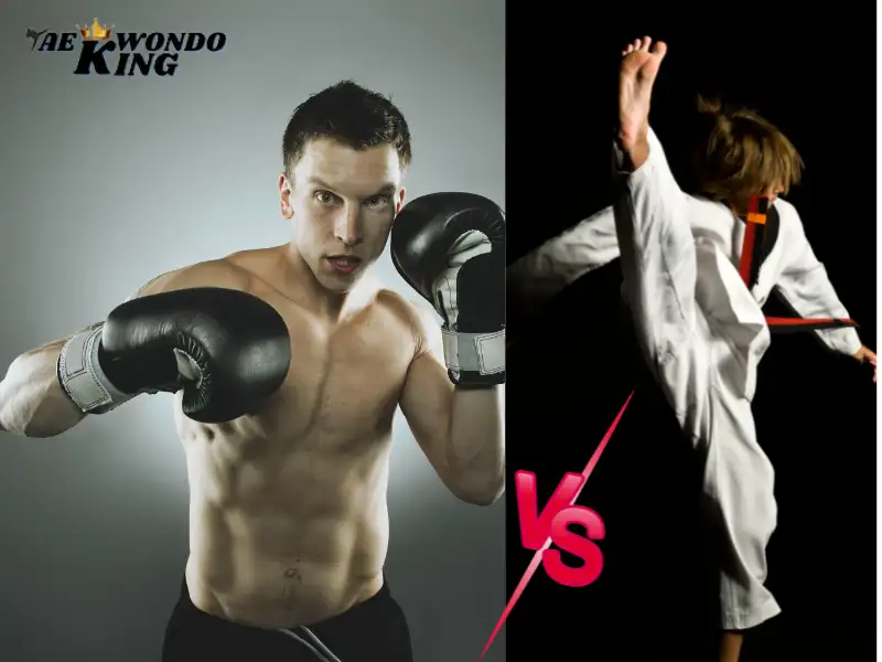 Boxing Or Taekwondo