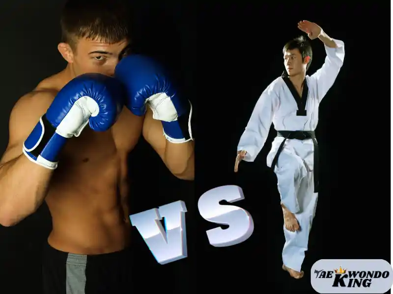 Boxing Or Taekwondo