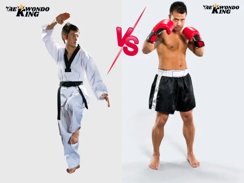 Boxing vs Taekwondo