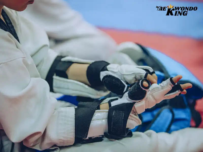Can a boxer defeat a taekwondo player