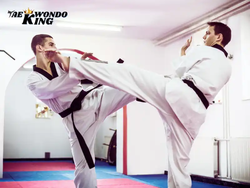 Fight Like A Taekwondo Master