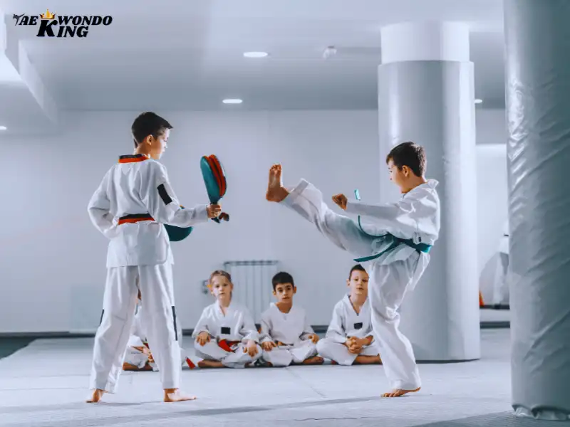 How Many Taekwondo Kicks Are There?