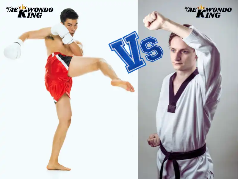 Kickboxing Vs Taekwondo, taekwondoking
