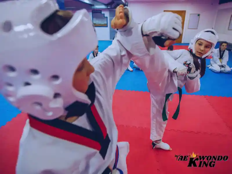 Taekwondo Easier Than Karate