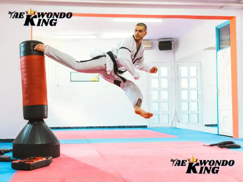 Taekwondo Kicks