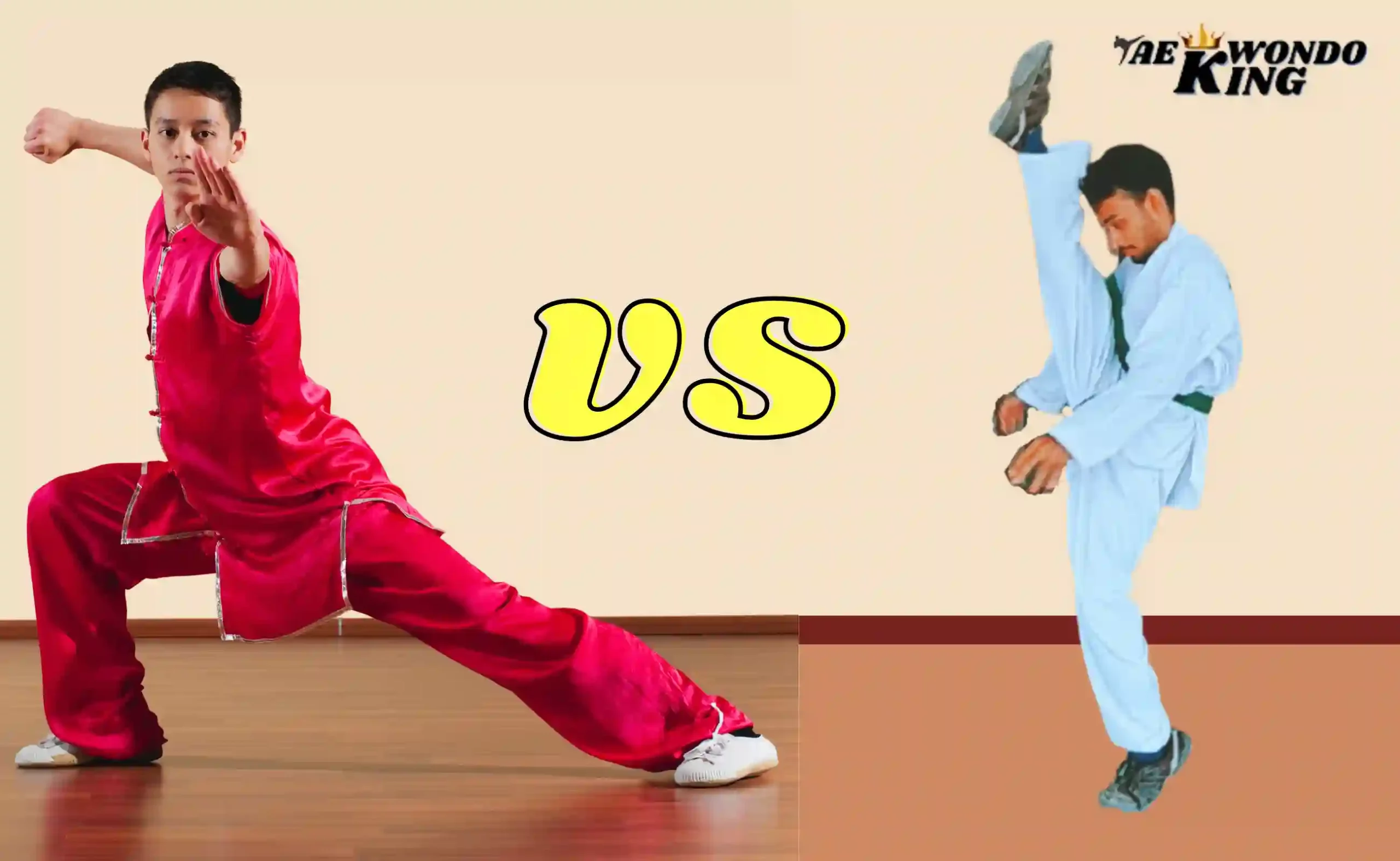 IS Taekwondo Better Than Kung Fu?