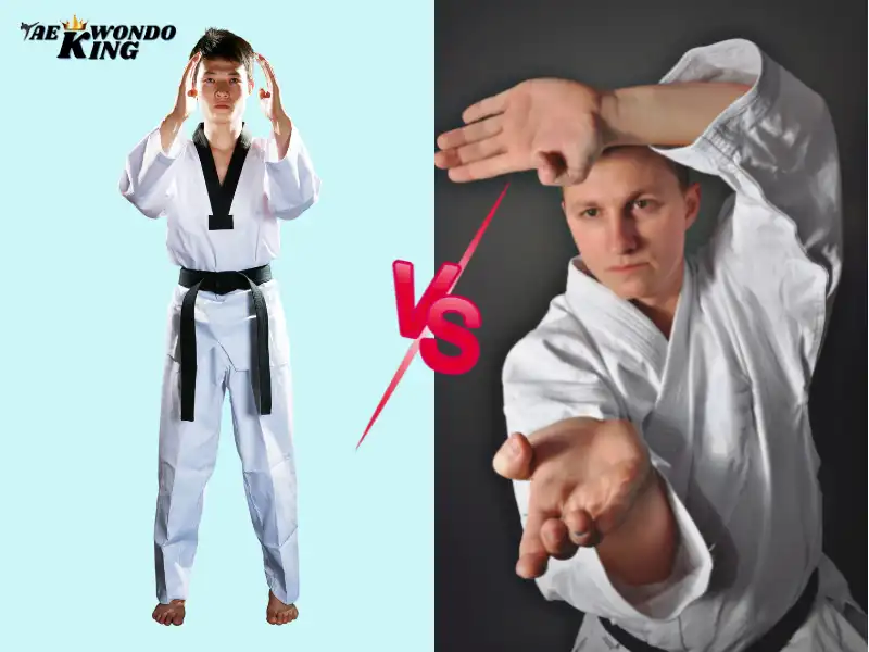 Taekwondo and Karate Difference, taekwondoking