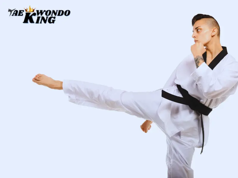 Taekwondo teach fighting skills