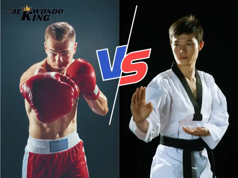 Taekwondo Better Than Boxing, taekwondoking
