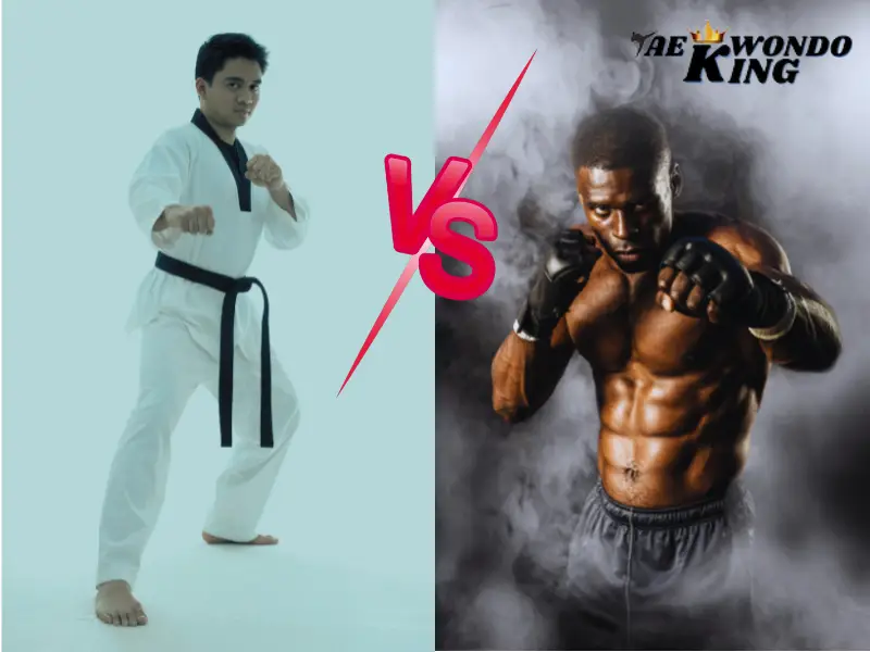Taekwondo Better Than MMA