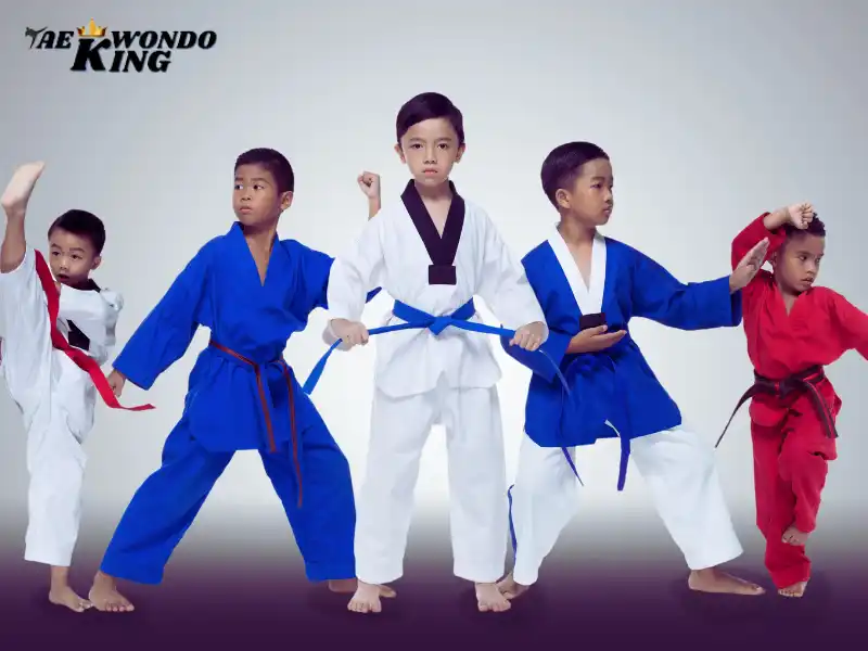 Taekwondo Important For Students