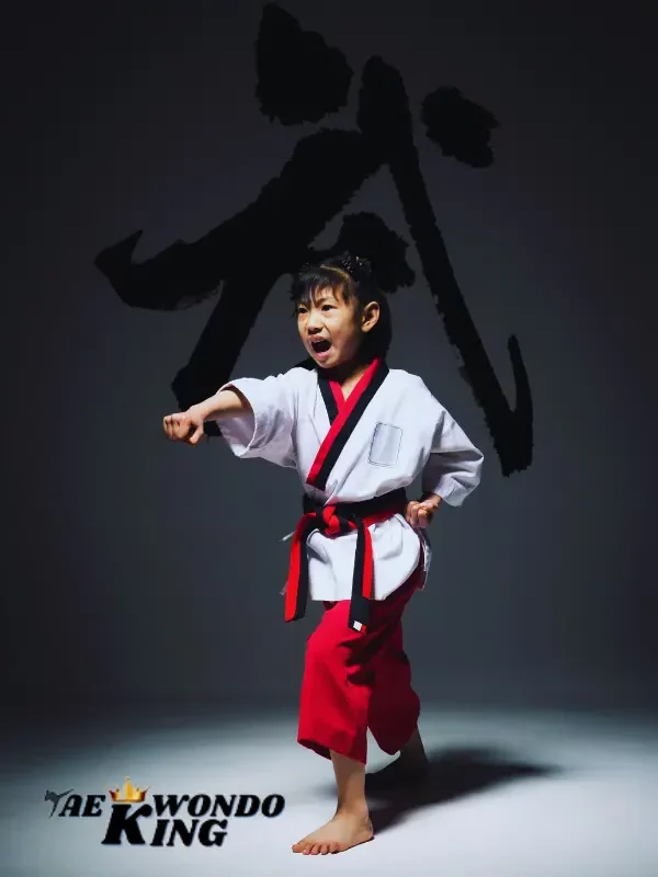 What Makes Taekwondo Unique?