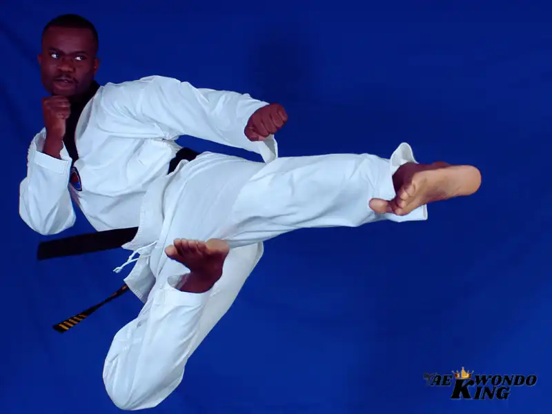 Are Taekwondo Kicks Strong and Powerful