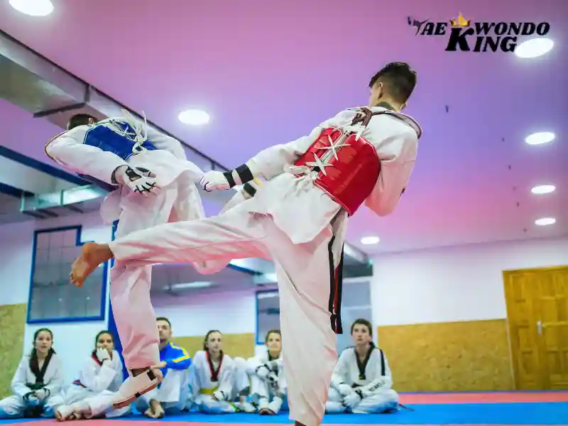 Are Taekwondo Skills Useful in a Fight