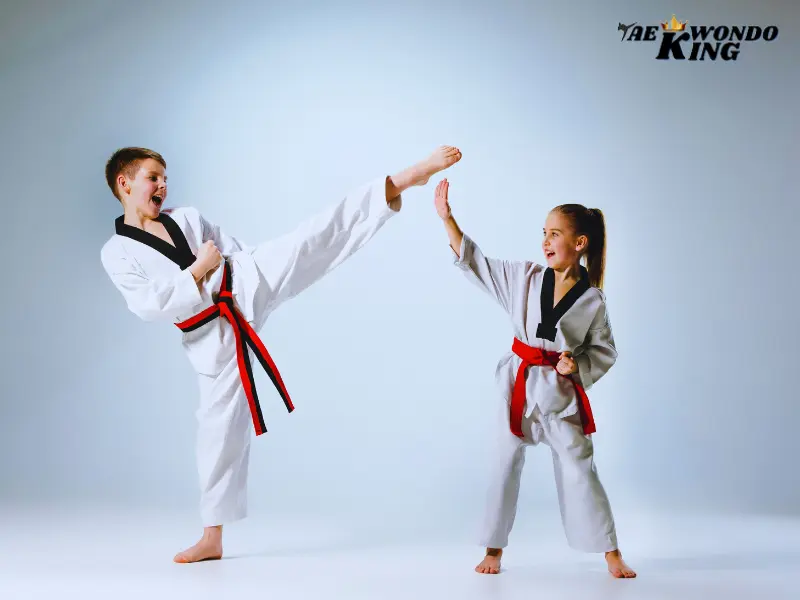 Is Taekwondo kicks strong and powerful