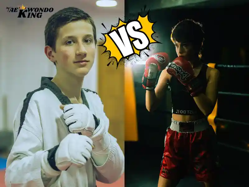 What Are The Differences Between Taekwondo and Boxing?