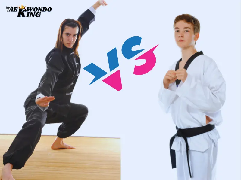 Taekwondo vs Kung Fu