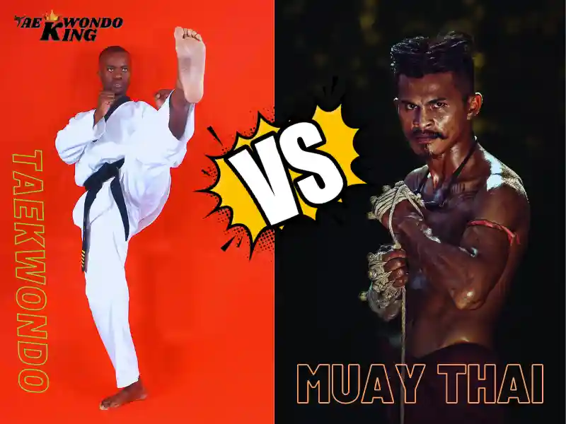 Taekwondo vs Muay Thai, which is better?