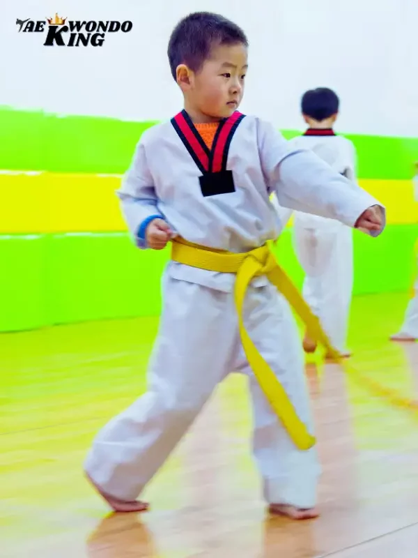 Is Taekwondo easy for beginners?
