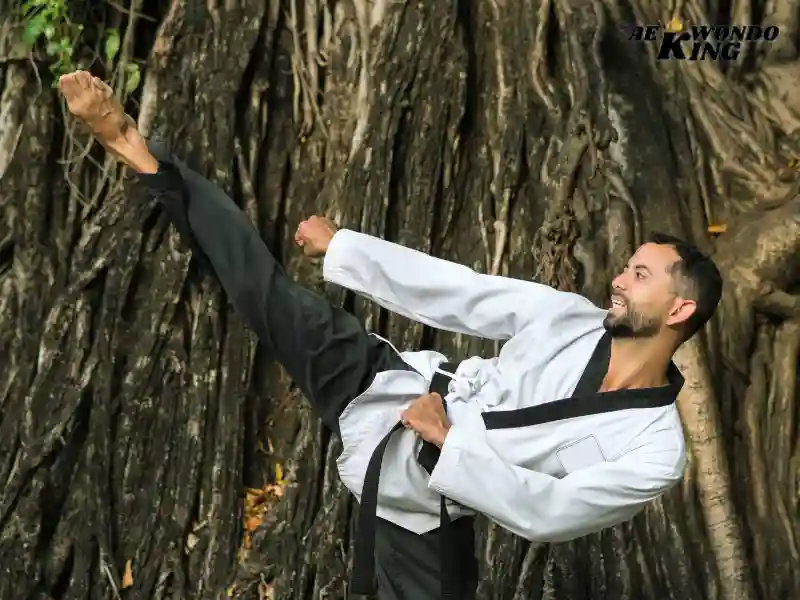 Taekwondo Poomsae - The Art of the Hand and Foot