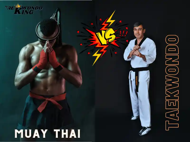 Taekwondo vs Muay Thai, which is better?