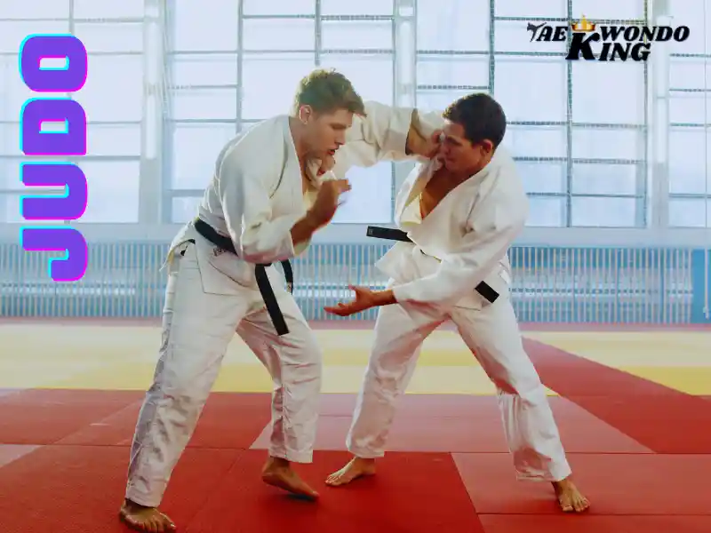 Why Judo is the Top 07 Martial Arts?