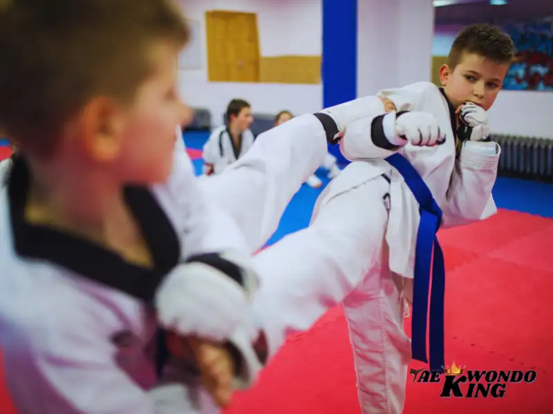 Who Should Start Taekwondo easy to learn?