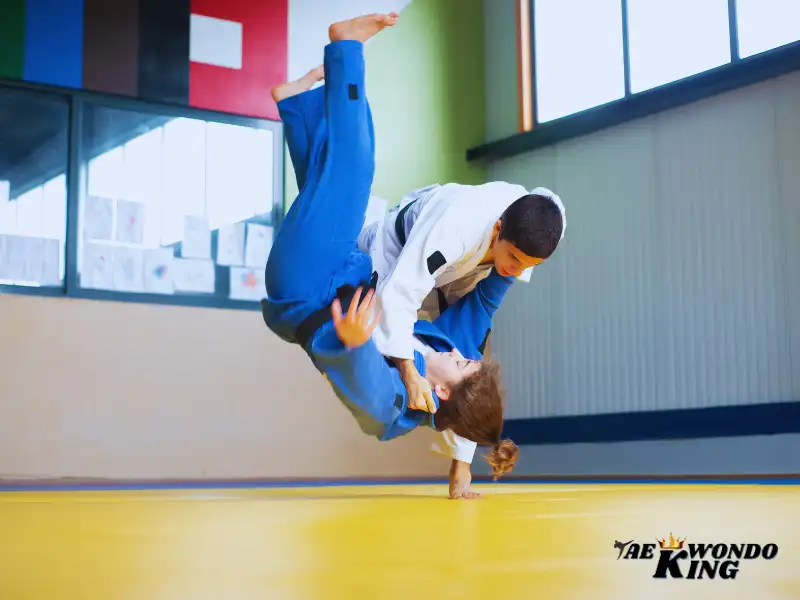 Benefits of Learning Judo, taekwondoking