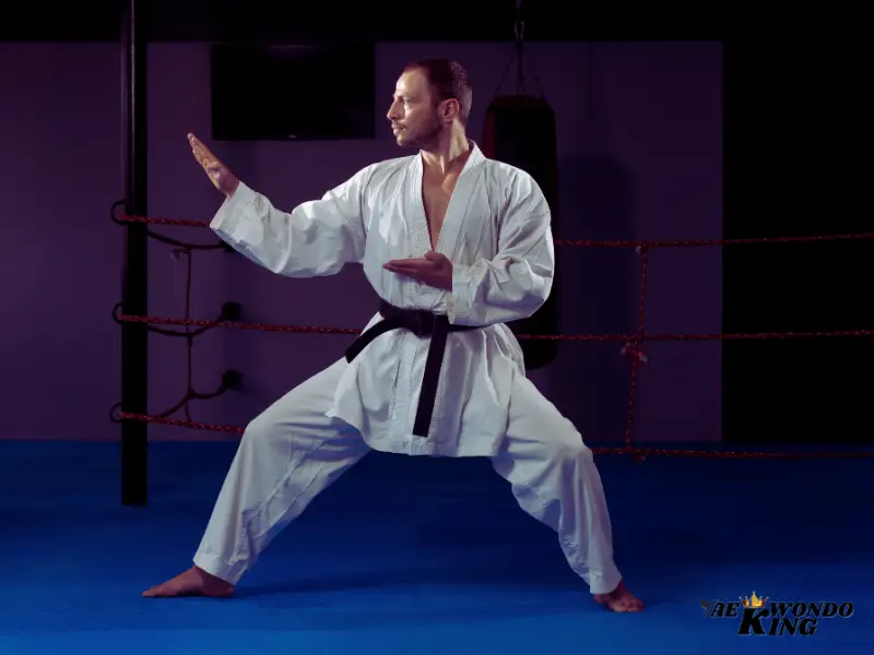 How Do You Learn Karate?