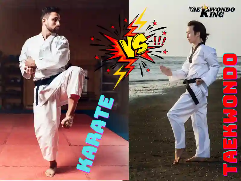 How Learning Taekwondo is Different from Karate?