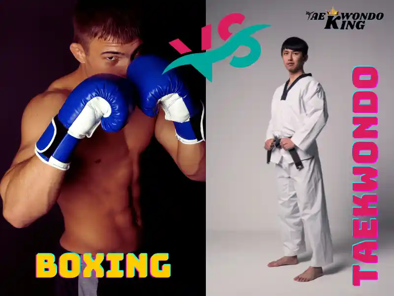 Is Boxing Better Than Taekwondo?