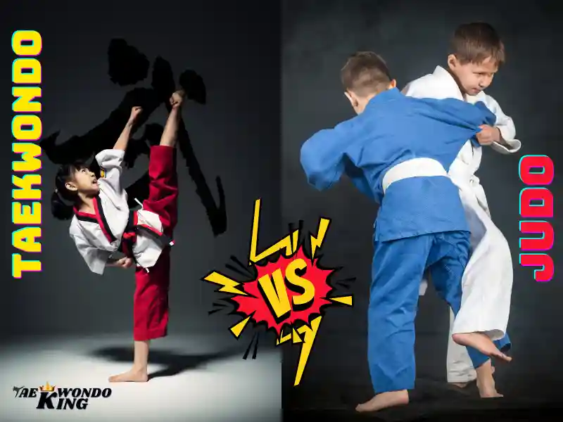 Judo or Taekwondo? 