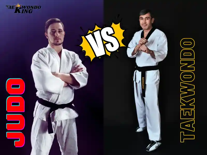 Judo vs Taekwondo What is the Difference?