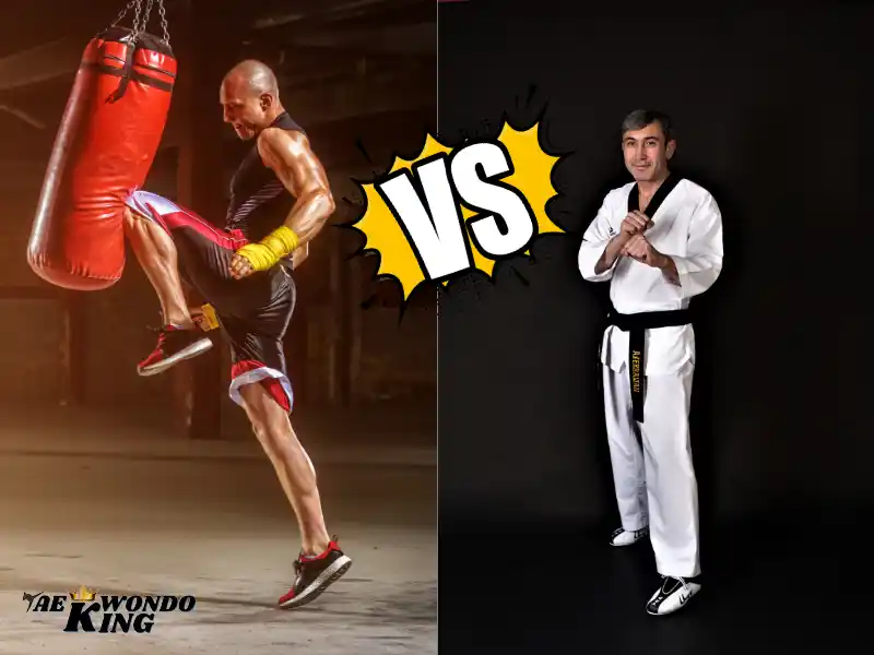 MMA or Taekwondo? Which is best?