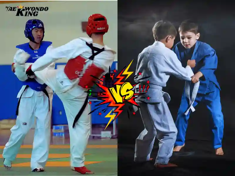 What Are the Pros and Cons of Practicing Taekwondo and Judo?
