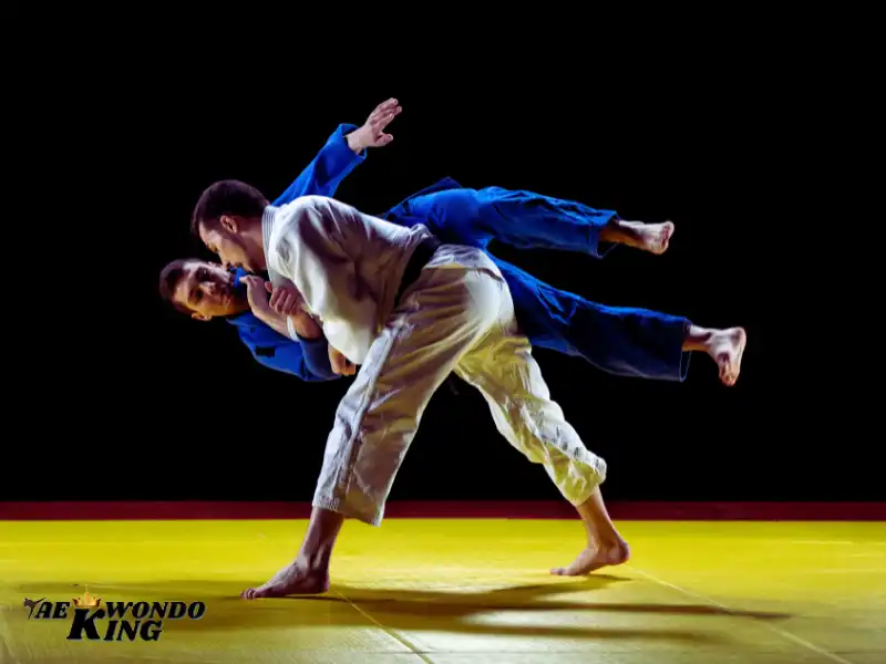 What is Judo?