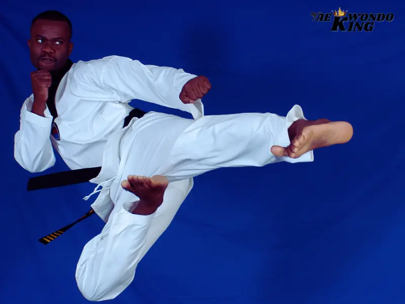 What is Taekwondo in martial arts?