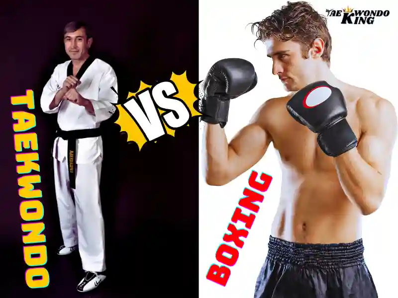 What is the Difference Between Boxing and Taekwondo