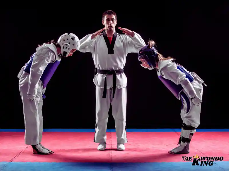 What is the lowest rank in Taekwondo?