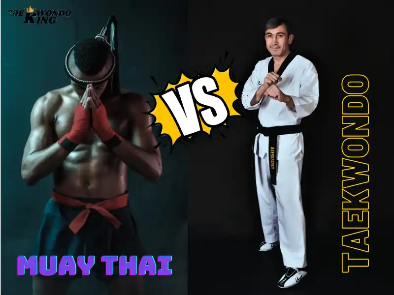 Does Taekwondo work well with Muay Thai?