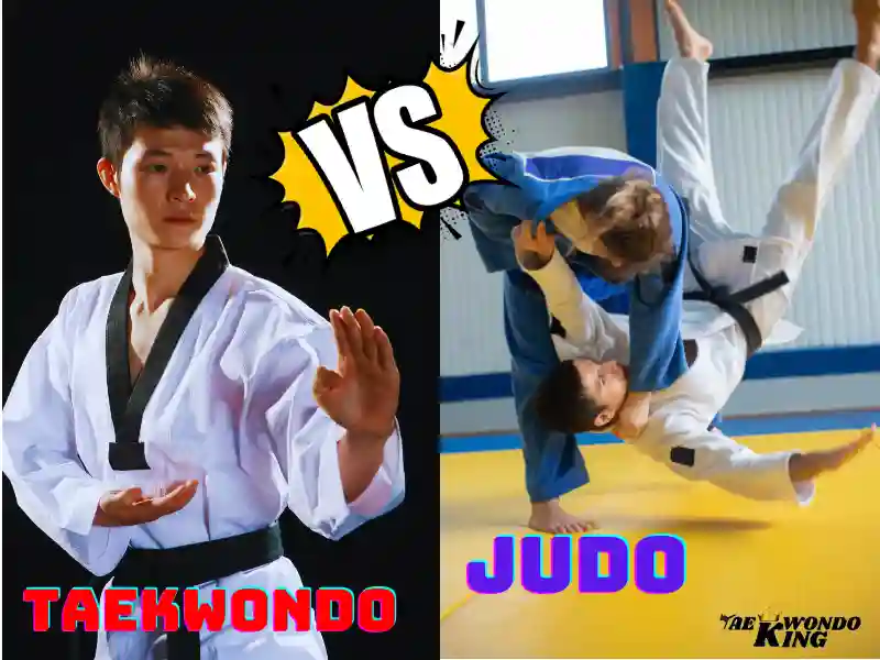 Does Taekwondo work well with judo?