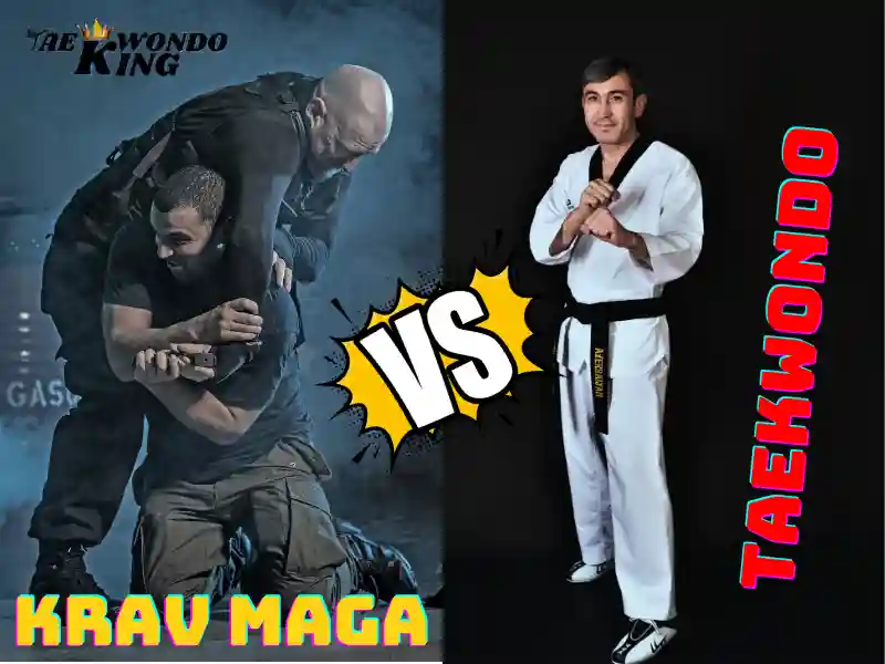 Krav Maga vs Taekwondo? Who is the best martial art?