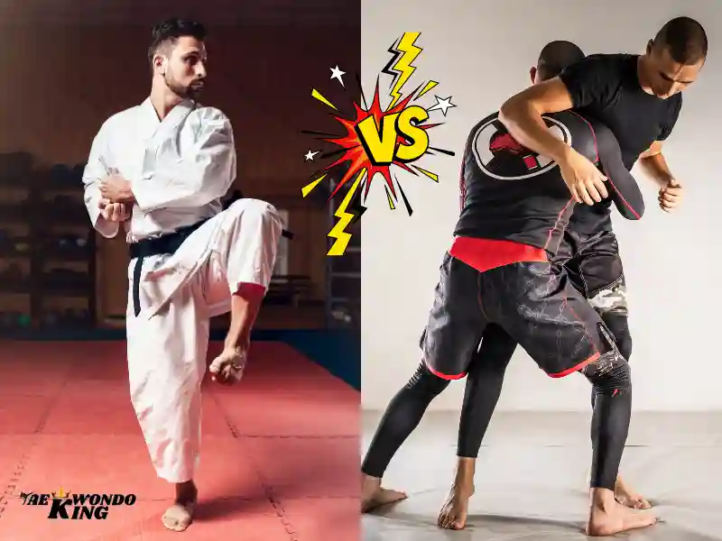 Mixed Martial Arts Better Than Karate? Which Style is Right for You?