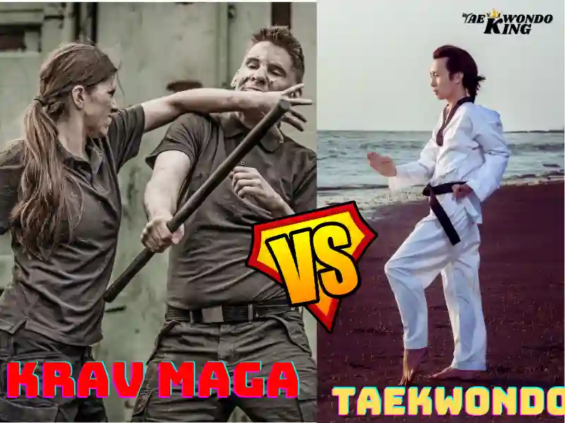 Taekwondo vs Krav Maga