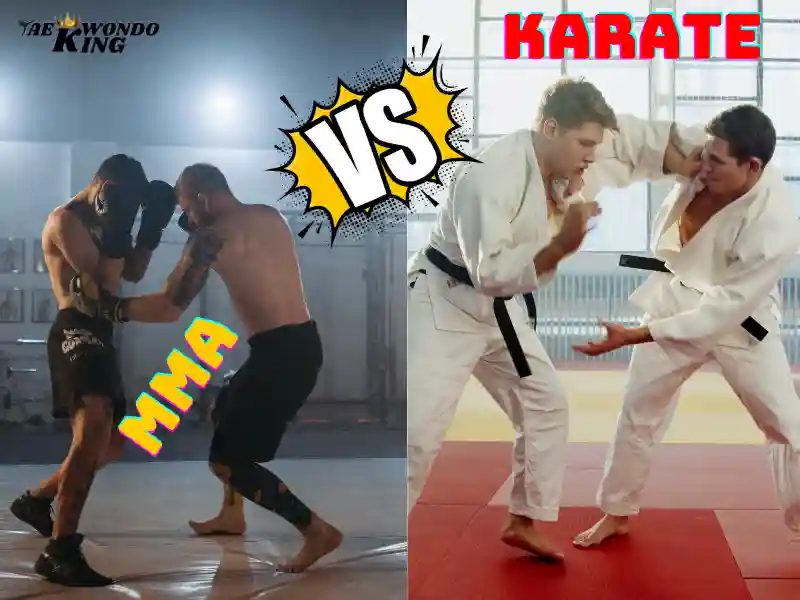 What Is The Difference Between Karate And MMA