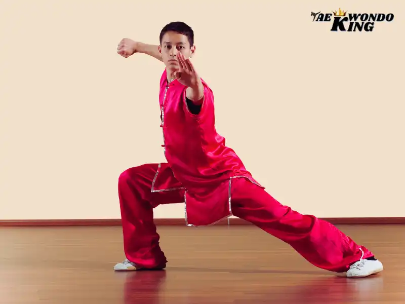 What is Kung Fu martial art